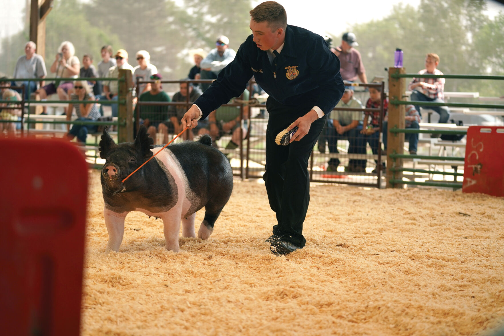 Swine Show Standalones 003.jpg